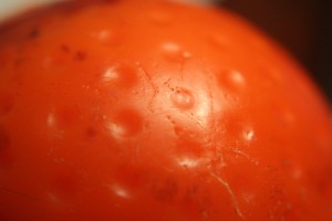 IMG_5574