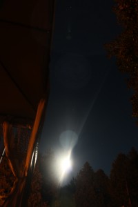 IMG_7312