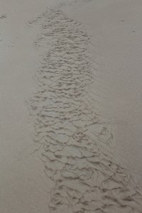 IMG_7280