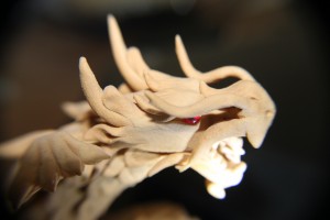 IMG_8490