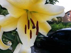 IMG_20140724_182955