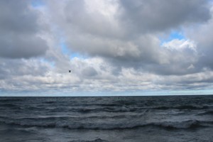 IMG_4960