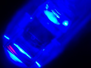 IMG_20141106_191934
