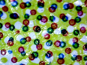 vlcsnap-2014-11-29-15h18m07s189