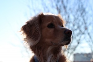 IMG_5550
