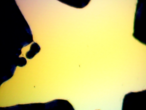 vlcsnap-2014-11-20-19h53m24s212