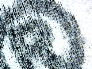 vlcsnap-2014-11-26-17h09m17s30