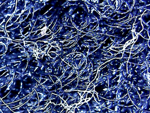 vlcsnap-2014-11-26-17h15m05s179