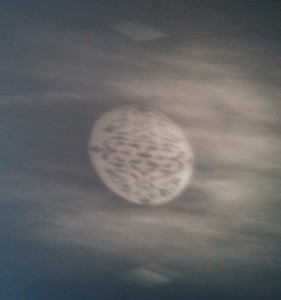 IMG_20150114_083405 (2)