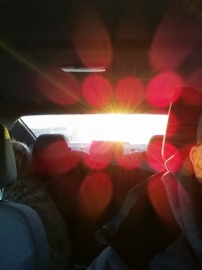 IMG_20150116_163148