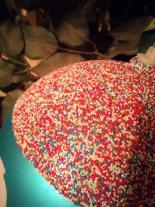 IMG_20150127_215131 (2)