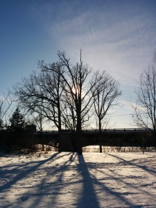 IMG_20150216_154252