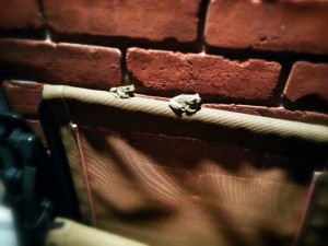 IMG_20150509_233510~2