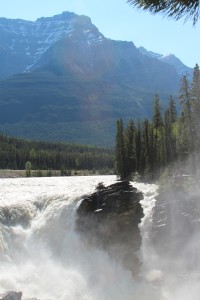 IMG_6805