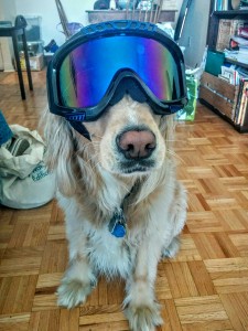 IMG_20150708_181727~2