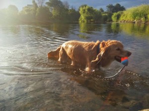 IMG_20150723_064802~3