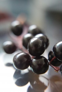 cherries