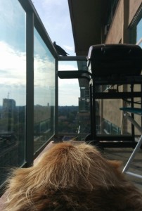 IMG_20150919_093619b