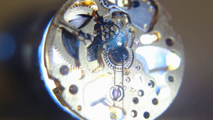 vlcsnap-2015-09-19-12h13m25s169