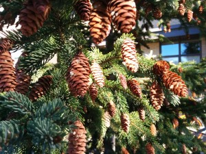 IMG_20150926_093032
