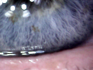 vlcsnap-2015-11-10-20h09m35s82