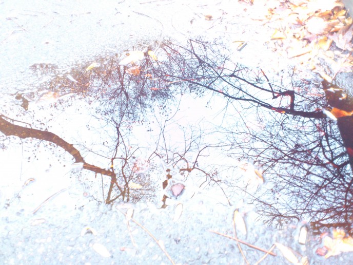 Dundonald Park Puddle 2011