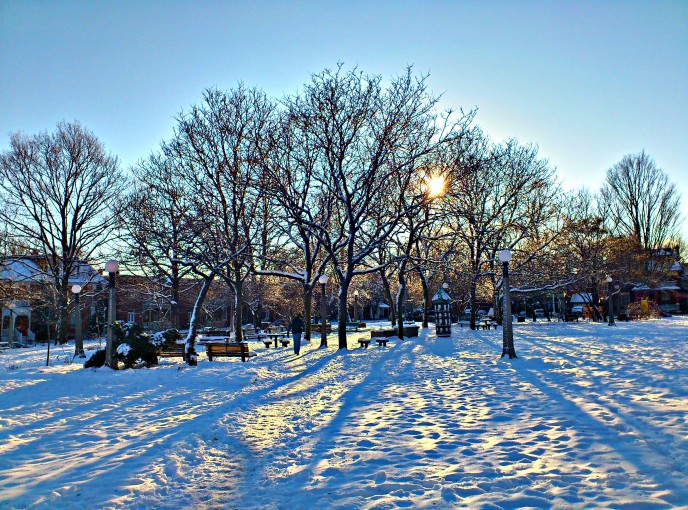 Dundonald Park HDR 2011