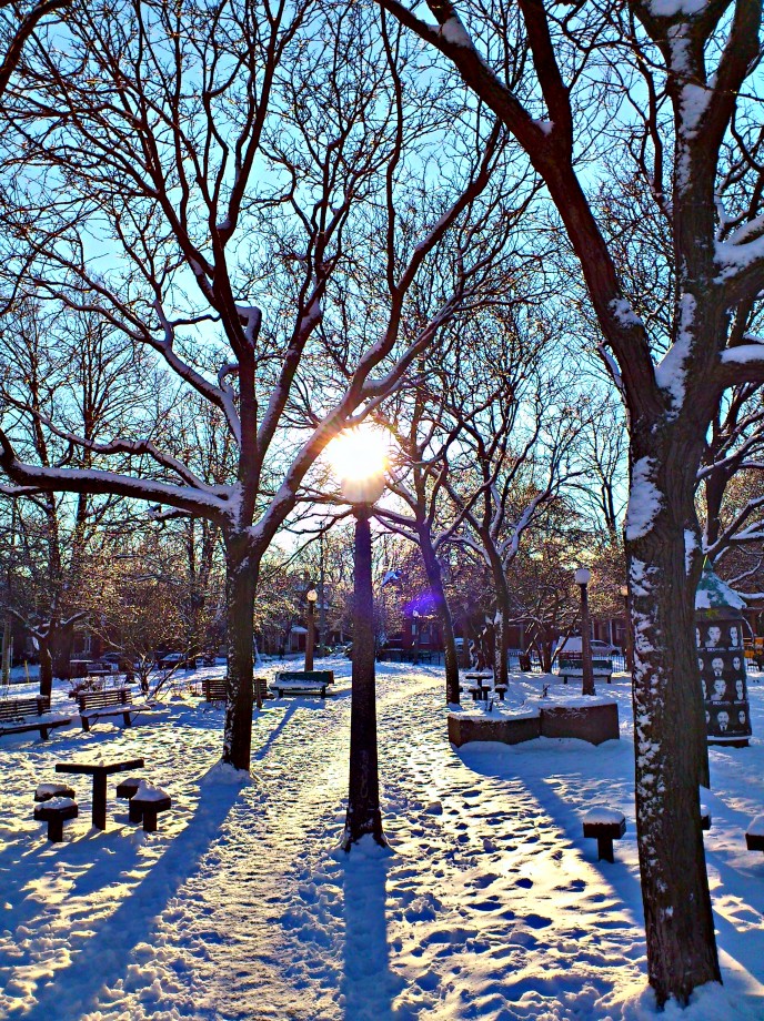 Dundonald Park Lamp Post HDR 2011