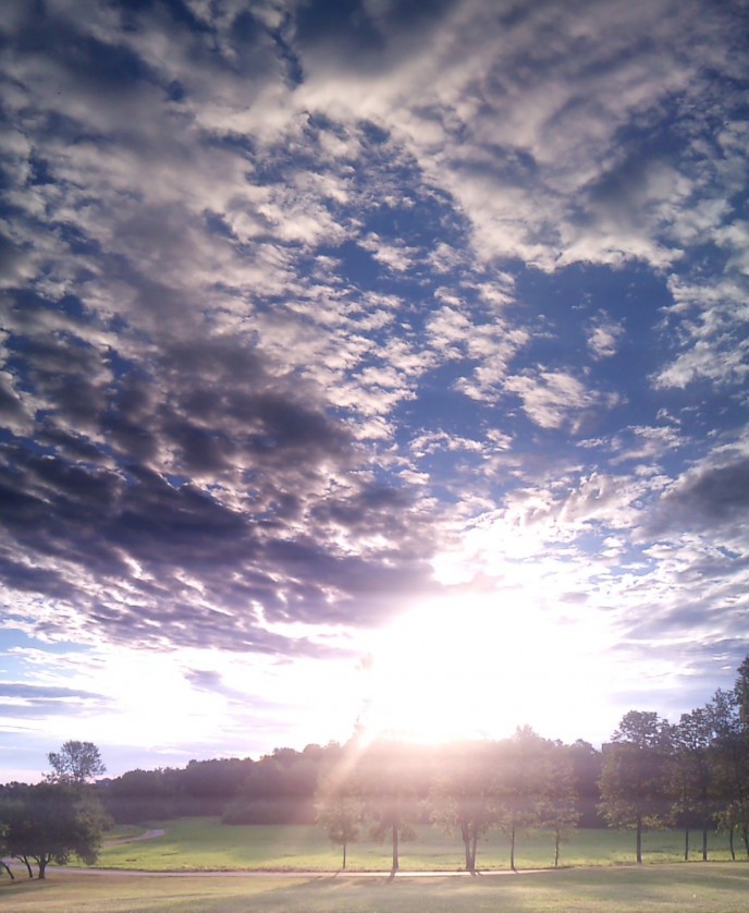 Hog's Back Park Panorama 2011 2