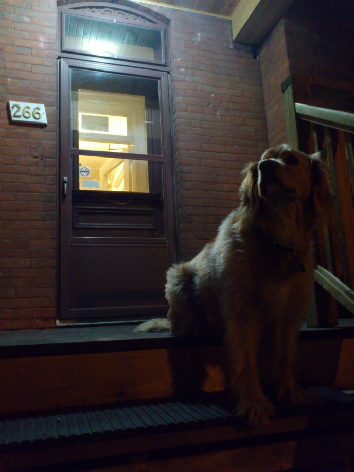 Night Watchdog 2011