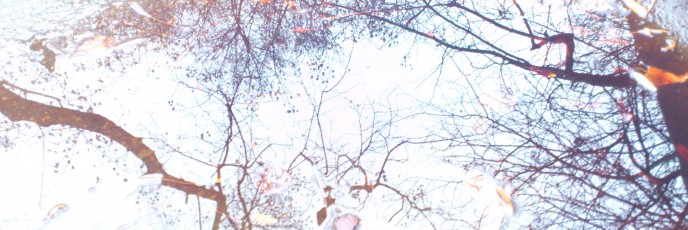 Dundonald Park Puddle 2011